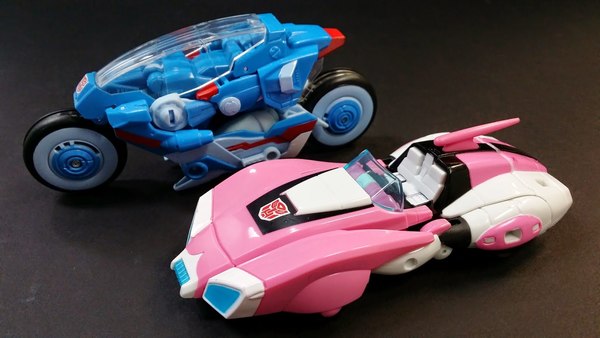 Arcee  (4 of 15)